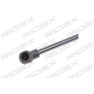 Tailgate Strut - RIDEX 219G0694