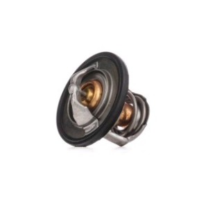 Coolant Thermostat - RIDEX 316T0027