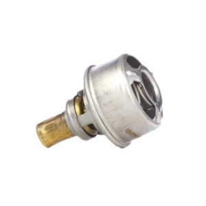 Coolant Thermostat - RIDEX 316T0077