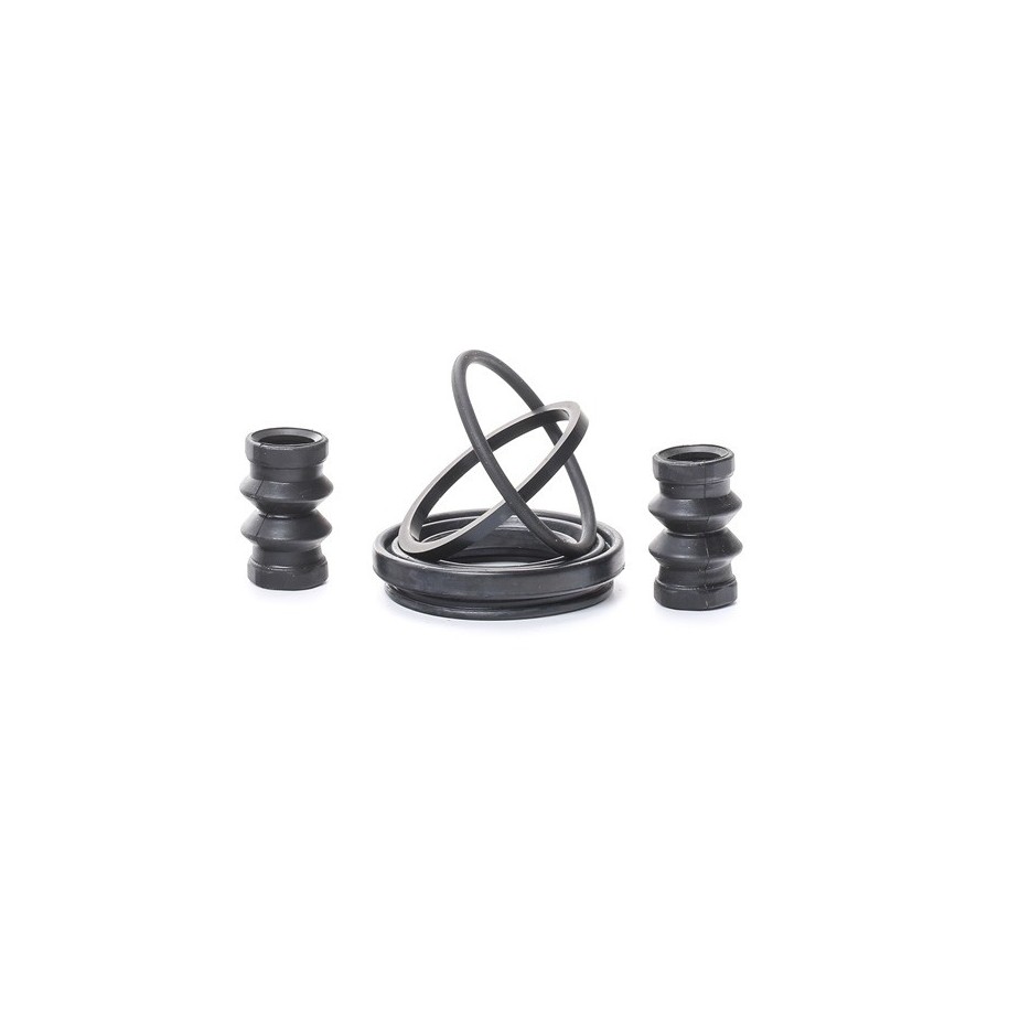 Brake Caliper Kit - RIDEX 405R0038