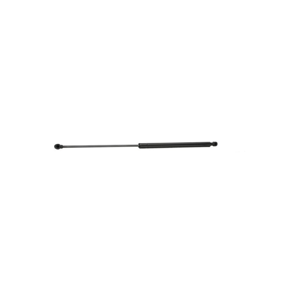 Tailgate Strut - RIDEX 219G0397