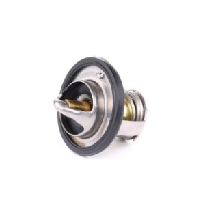Coolant Thermostat - RIDEX 316T0118