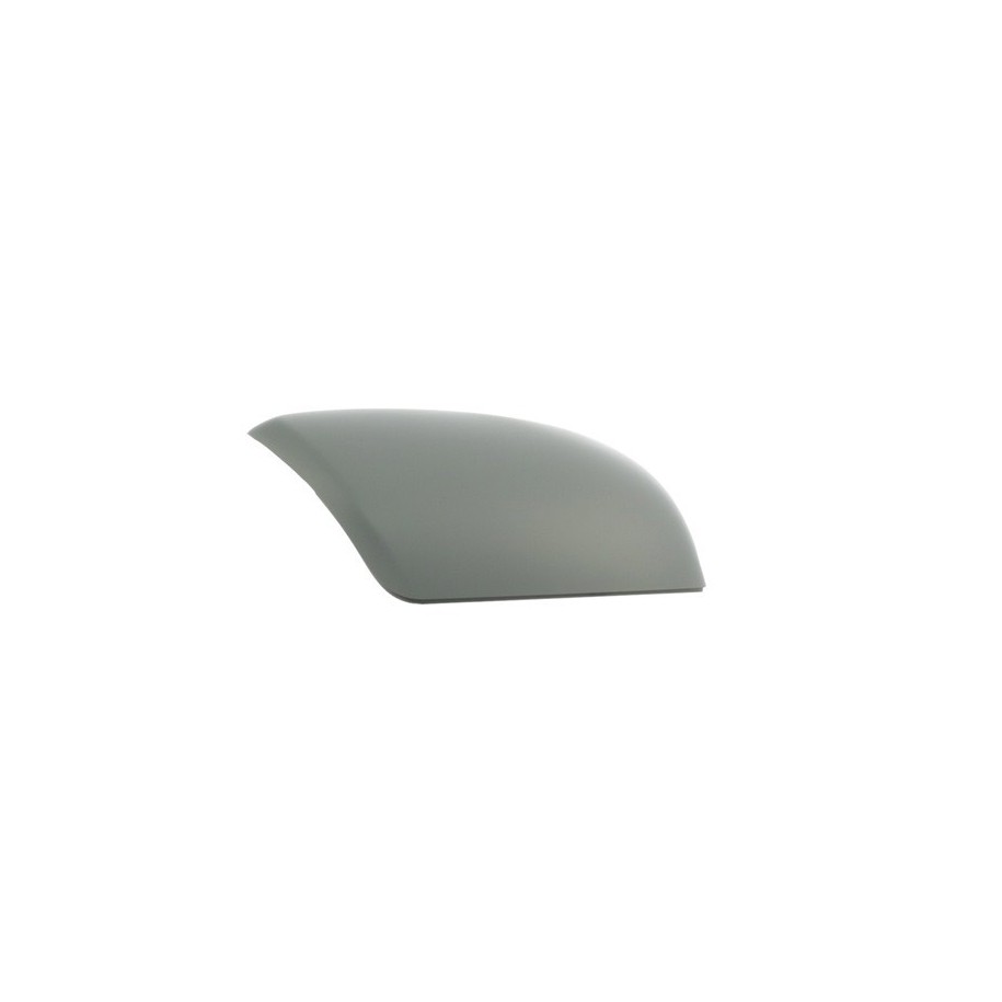 Exterior Mirror Cover - RIDEX 23A0032