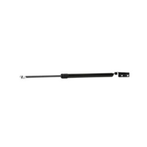 Tailgate Strut - RIDEX 219G0582