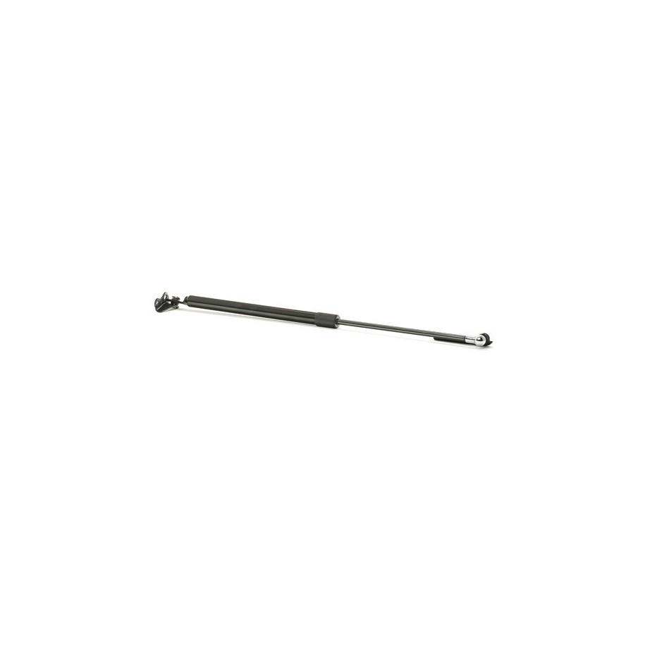 Tailgate Strut - RIDEX 219G0606