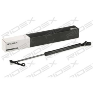 Tailgate Strut - RIDEX 219G0606
