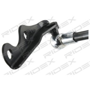 Tailgate Strut - RIDEX 219G0606