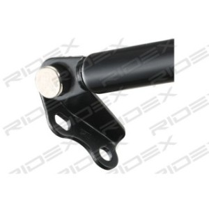 Tailgate Strut - RIDEX 219G0606