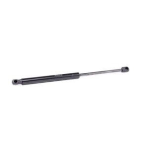 Tailgate Strut - RIDEX 219G0619