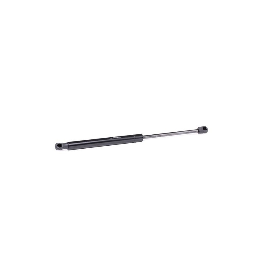Tailgate Strut - RIDEX 219G0619