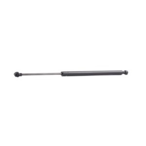 Tailgate Strut - RIDEX 219G0626