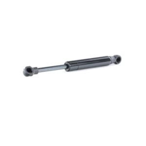 Tailgate Strut - RIDEX 219G0636