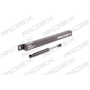 Tailgate Strut - RIDEX 219G0636
