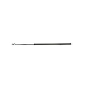 Tailgate Strut - RIDEX 219G0651