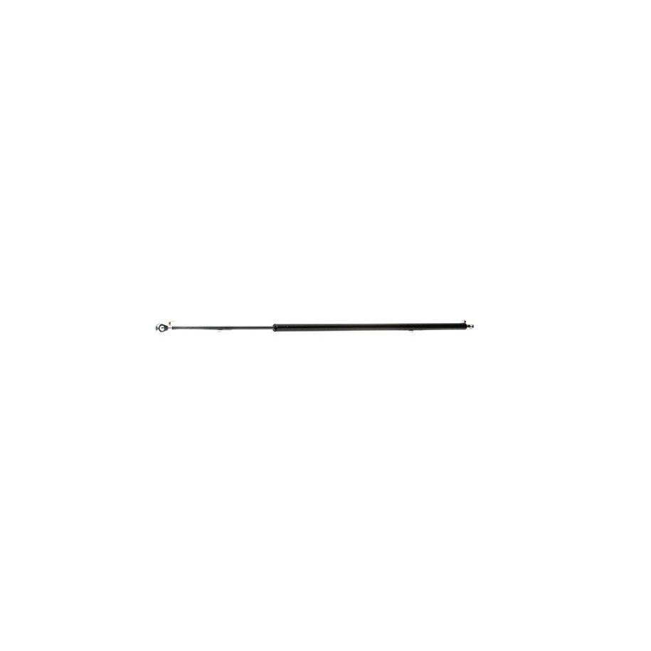 Tailgate Strut - RIDEX 219G0651