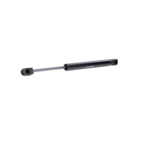Tailgate Strut - RIDEX 219G0653