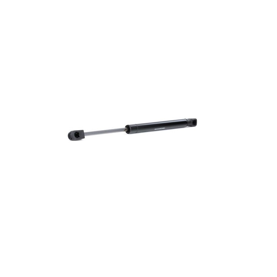 Tailgate Strut - RIDEX 219G0653