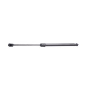 Tailgate Strut - RIDEX 219G0660