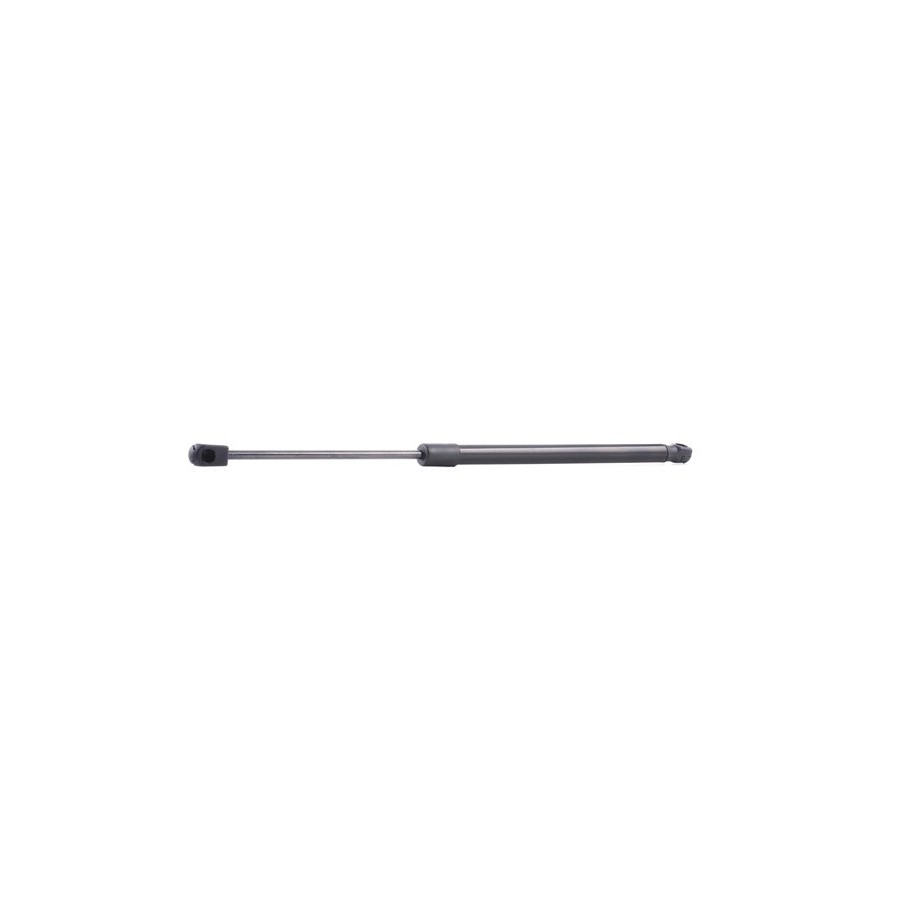 Tailgate Strut - RIDEX 219G0660