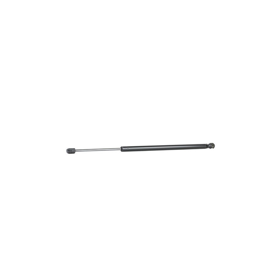 Tailgate Strut - RIDEX 219G0665