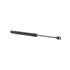 Tailgate Strut - RIDEX 219G0667