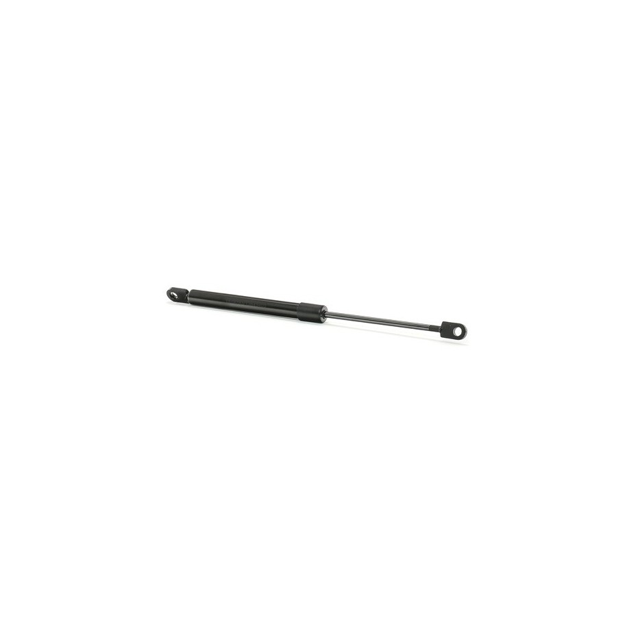 Tailgate Strut - RIDEX 219G0667