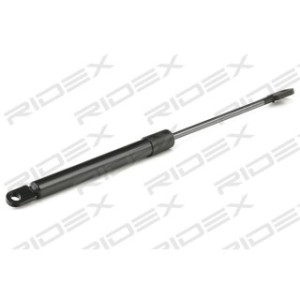 Tailgate Strut - RIDEX 219G0667