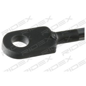 Tailgate Strut - RIDEX 219G0667