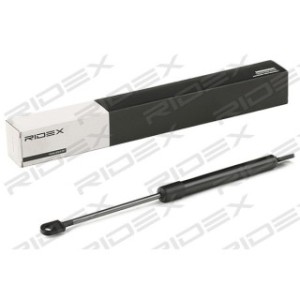 Tailgate Strut - RIDEX 219G0667