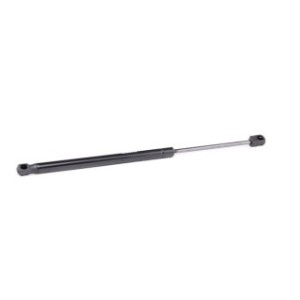 Tailgate Strut - RIDEX 219G0672