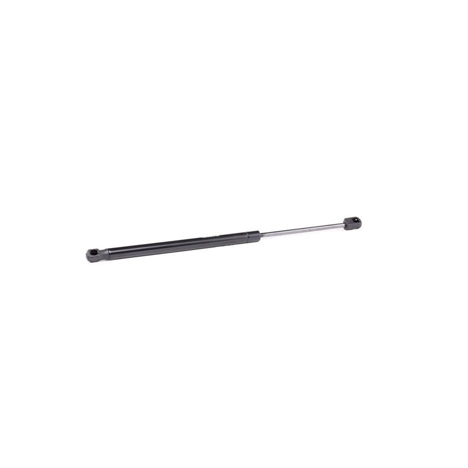 Tailgate Strut - RIDEX 219G0672