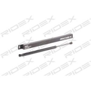 Tailgate Strut - RIDEX 219G0676