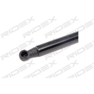 Tailgate Strut - RIDEX 219G0676