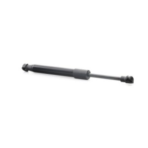 Tailgate Strut - RIDEX 219G0692