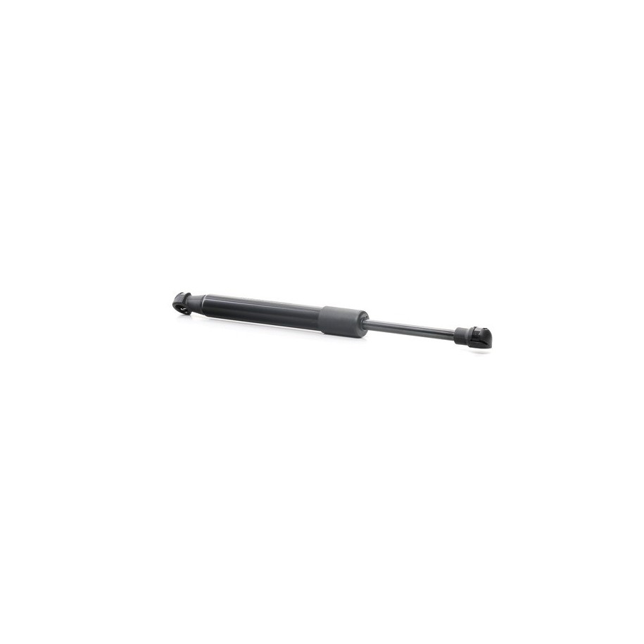 Tailgate Strut - RIDEX 219G0692