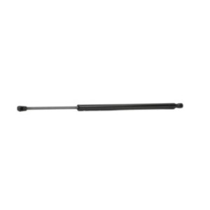 Tailgate Strut - RIDEX 219G0693