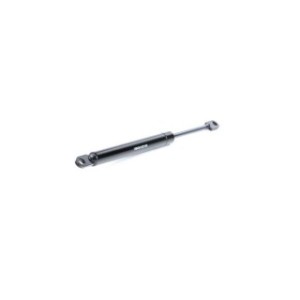 Tailgate Strut - RIDEX 219G0700