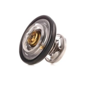 Coolant Thermostat - RIDEX 316T0188