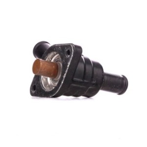 Coolant Thermostat - RIDEX 316T0238