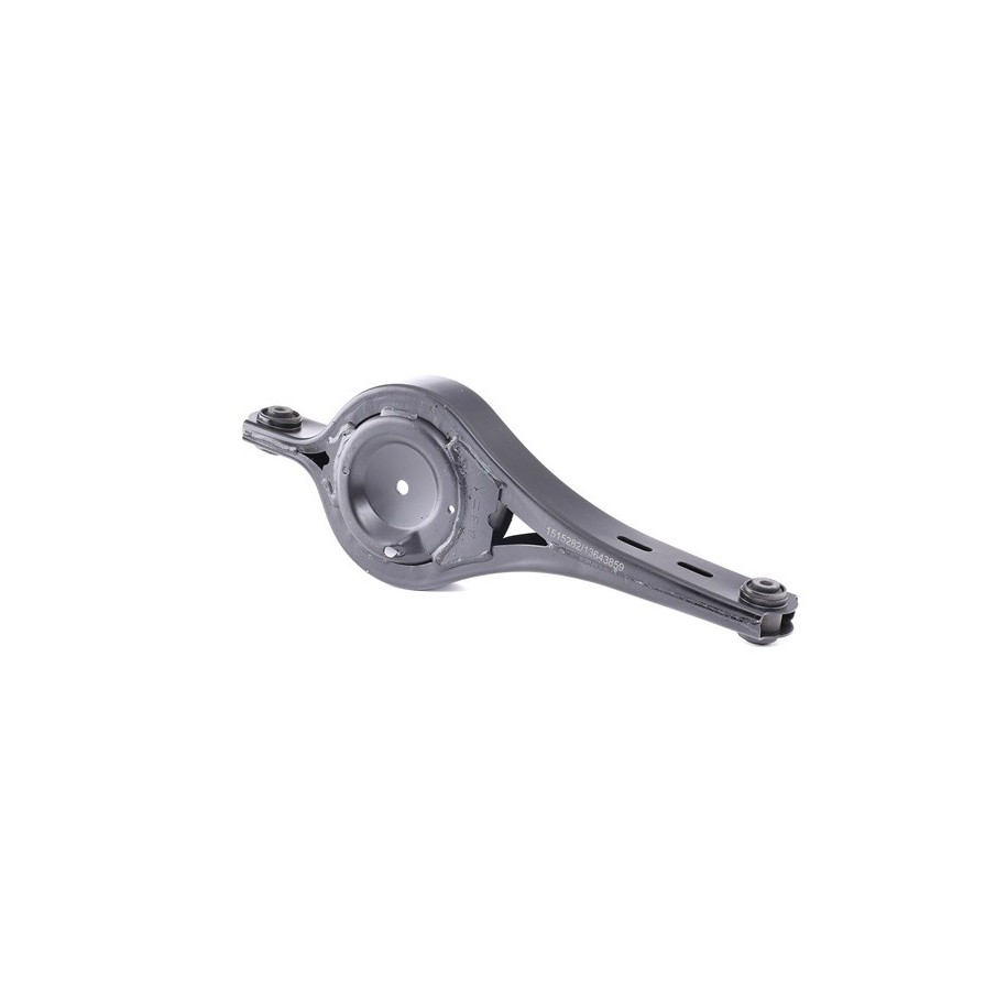 Control Trailing Arm - RIDEX 273C0887