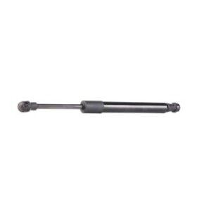 Tailgate Strut - RIDEX 219G0755