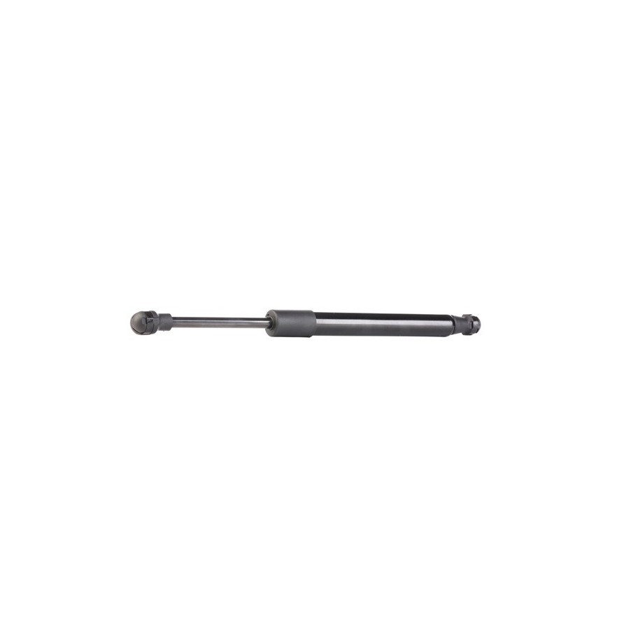 Tailgate Strut - RIDEX 219G0755