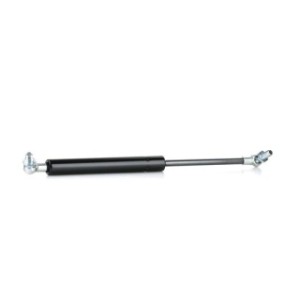 Tailgate Strut - RIDEX 219G0766
