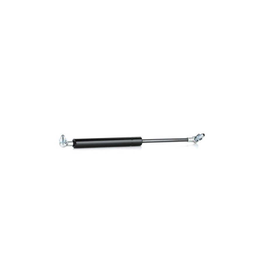 Tailgate Strut - RIDEX 219G0766
