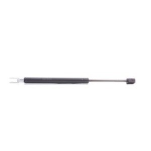Tailgate Strut - RIDEX 219G0767