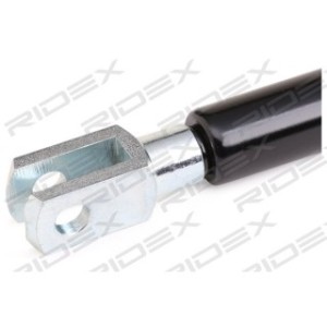 Tailgate Strut - RIDEX 219G0767
