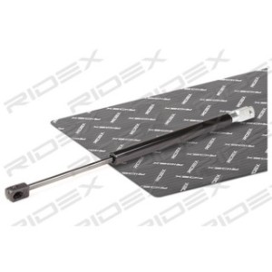 Tailgate Strut - RIDEX 219G0767