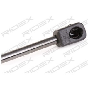 Tailgate Strut - RIDEX 219G0767