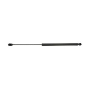 Tailgate Strut - RIDEX 219G0769
