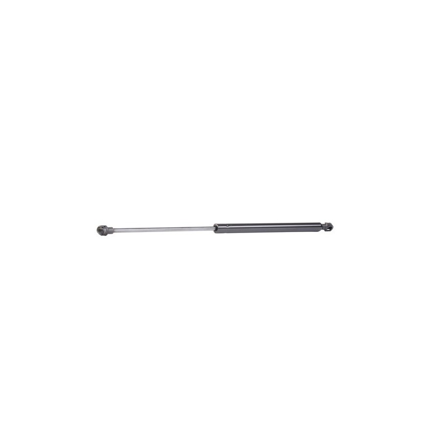 Tailgate Strut - RIDEX 219G0770